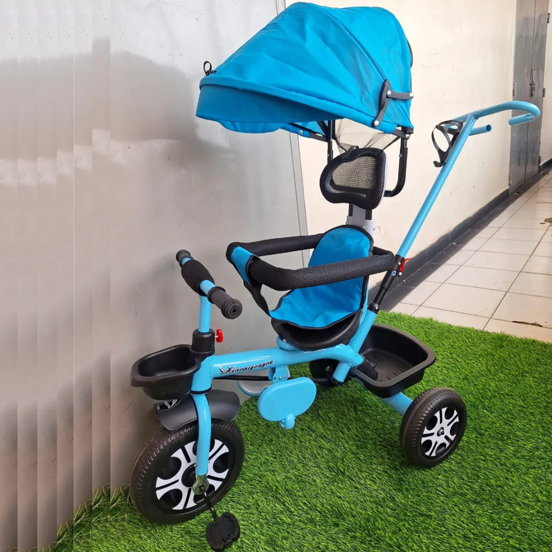 Tricycle with Push Handle and Canopy – Blue