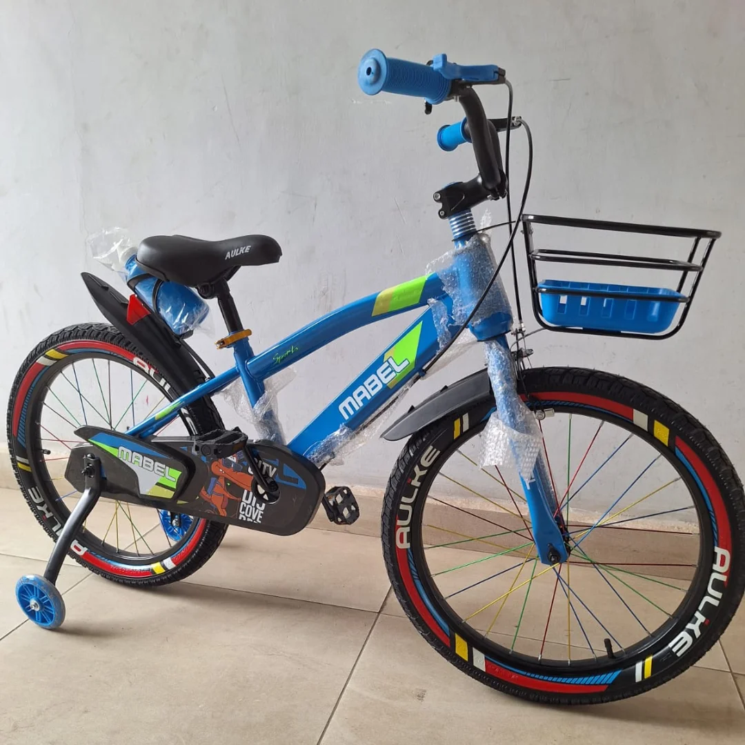 Bikes for Kids - SIze 20 Bicycles for Children in Blue, Red and Green Colors