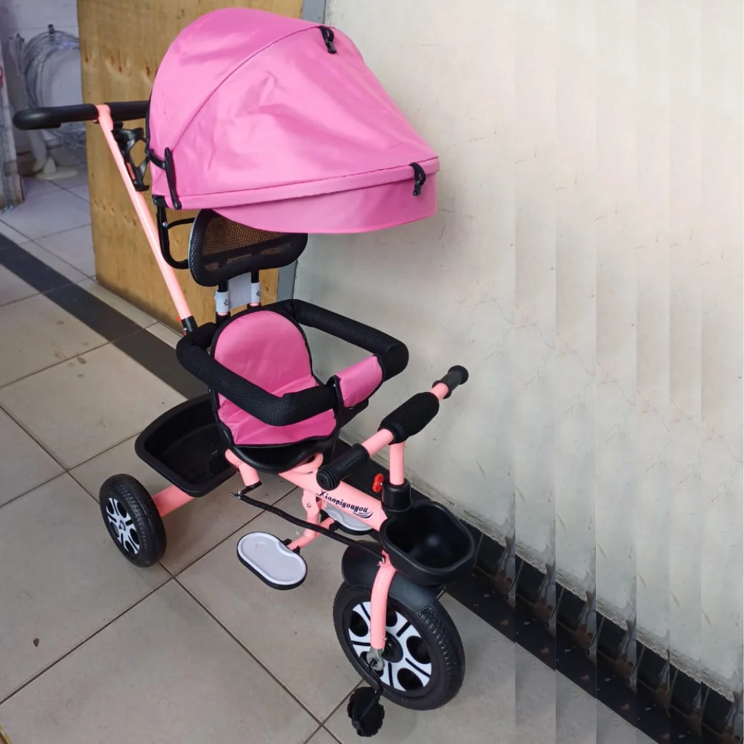Tricycle with Push Handle and Canopy – Pink